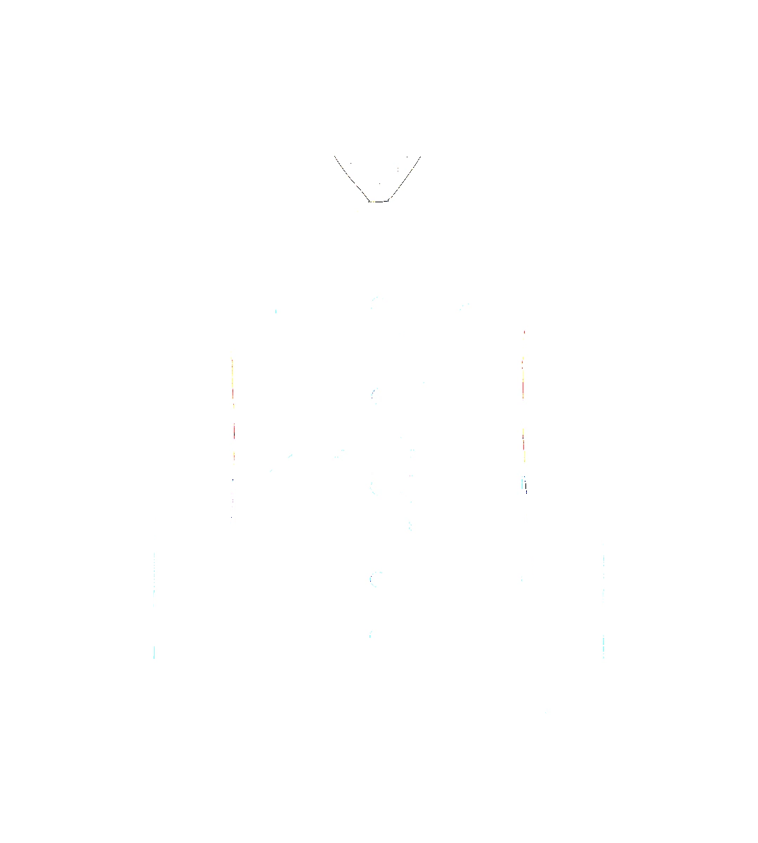 CHAQUETA WESTERN DE ANTE Y CACHEMIRA - CHAQUETA WESTERN DE ANTE Y CACHEMIRA